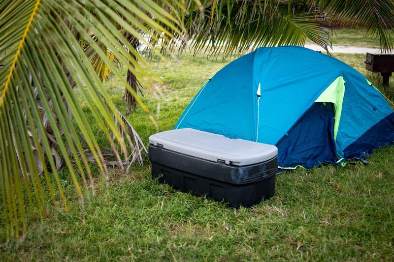 你只活一次的假期：我帶著愛彼表去了一個荒島-復刻表