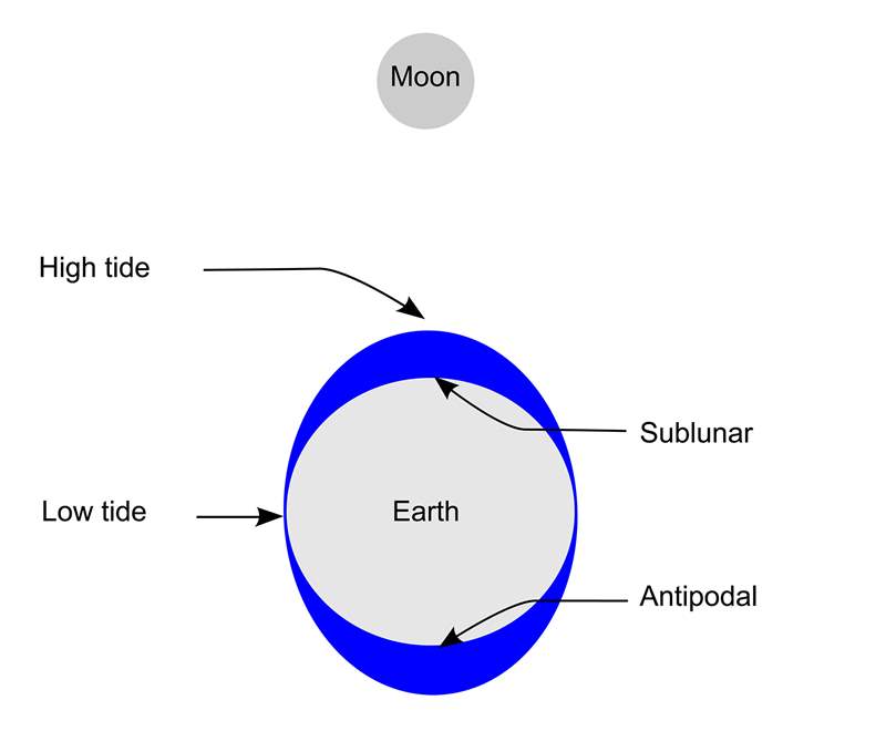 僅僅因為月亮、潮汐和洪水-復刻表