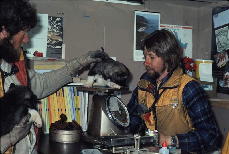 年度回顧2021年您最喜歡的五個帖子-復(fù)刻表